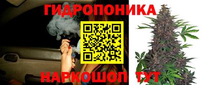 соль курить ск Гусев