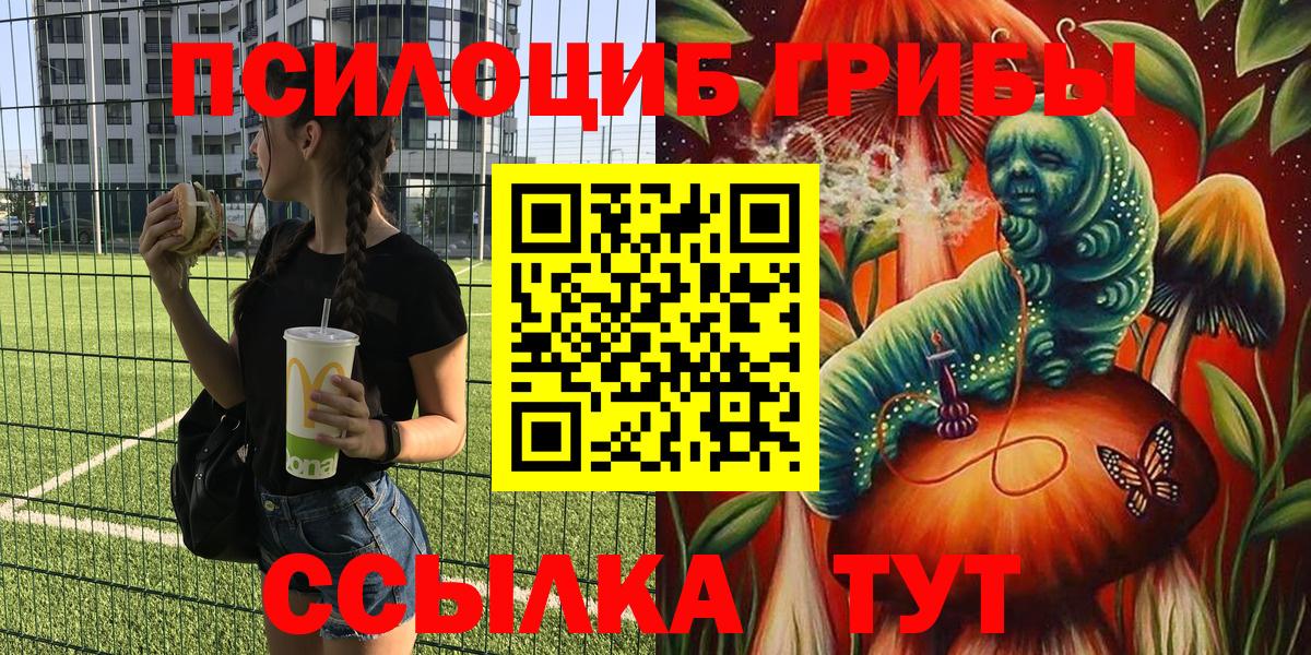 Псилоцибиновые грибы ЛСД Камень-на-Оби